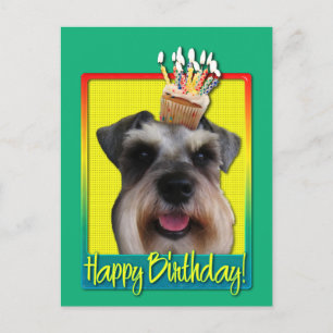 Verjaardagscupcake - Schnauzer Briefkaart