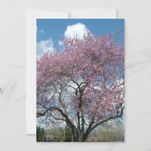 verjaardagsdagsdagsdagsdagsbans kaart (Voorkant)