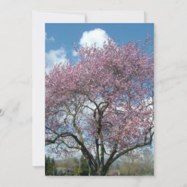 verjaardagsdagsdagsdagsdagsbans kaart