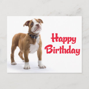 Verjaardagsdoos Boxer Puppie Hond Postcard Briefkaart
