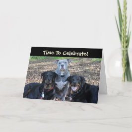 Verjaardagsfeest Dieren Verjaardag Kaart