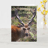 Verjaardagsfeest Kaart (Gele Bloem)