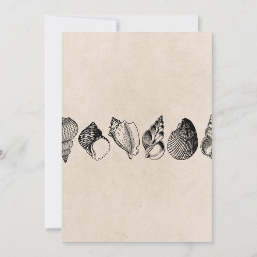 Verjaardagsfeest Shells Ocean Beach Zee Mannen Vro Kaart (Achterkant)