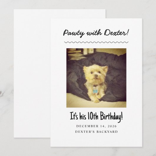 Verjaardagsfeest voor honden - Grappige uitnodigin Kaart (Voorkant / Achterkant)