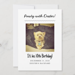 Verjaardagsfeest voor honden - Grappige uitnodigin Kaart