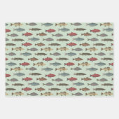 Verjaardagsfeest voor vissen inpakpapier vel (Voorkant 3)