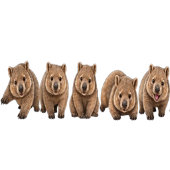 Verjaardagsfeest Wombat Kaart