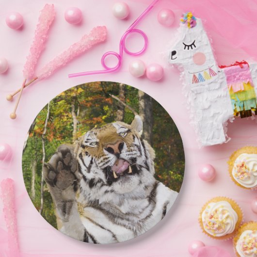 Verjaardagsfeestje Bord (Feest)