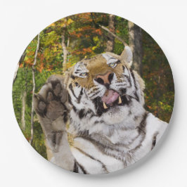 Verjaardagsfeestje Bord