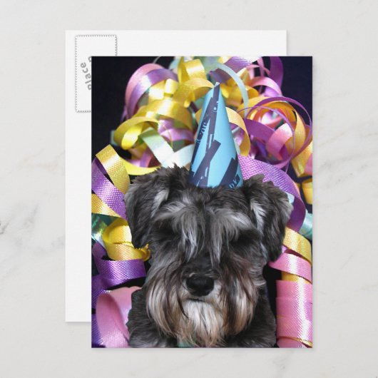 Verjaardagsfeestje Schnauzer Lint Achter Briefkaar Uitnodiging Briefkaart (Voorkant / Achterkant)