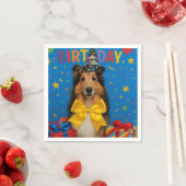 Verjaardagsfeestje Sheltie Servet (Insitu)