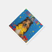 Verjaardagsfeestje Sheltie Servet (Hoek)