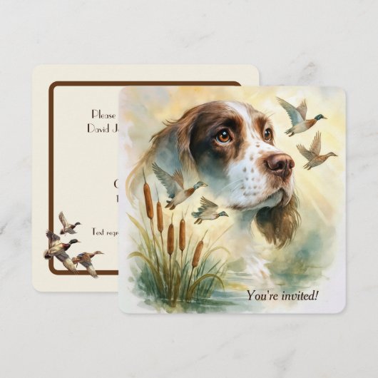 Verjaardagsfeestje Springer Spaniel Hond Met Lisdo Kaart (Voorkant / Achterkant)