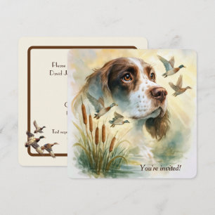 Verjaardagsfeestje Springer Spaniel Hond Met Lisdo Kaart