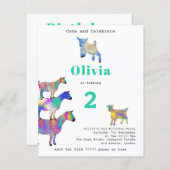 verjaardagsfeestje voor geit (Voorkant / Achterkant)