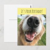 Verjaardagsfeestje voor gelukkige gouden retriever briefkaart (Voorkant / Achterkant)