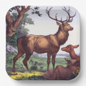  verjaardagsfeestje voor herten papieren bordje (Voorkant)