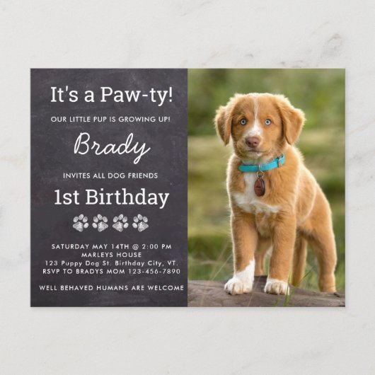 Verjaardagsfeestje voor honden Aangepaste foto Pup Briefkaart (Voorkant)