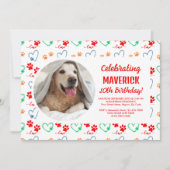 verjaardagsfeestje voor honden kaart (Voorkant)