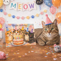 Verjaardagsfeestje voor kattenliefhebbers met een