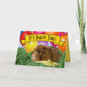 Verjaardagsfeestje voor kinderen met cavia-ballonn (Voorkant)
