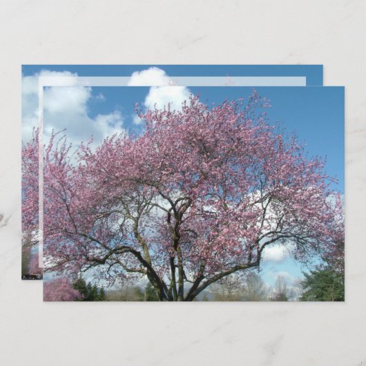 verjaardagsfeestuitnodiging kaart (Voorkant / Achterkant)