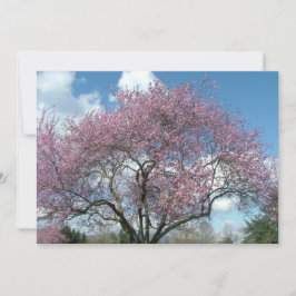 verjaardagsfeestuitnodiging kaart