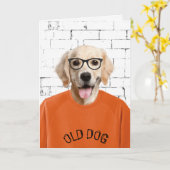 verjaardagsgouden recuperator in het oranje t-shir kaart (Gele Bloem)