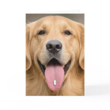 Verjaardagsgrap voor Golden Retriever