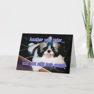 Verjaardagsgrappen - Cute Shih-Tzu Puppy Kaart