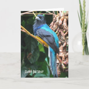 Verjaardagsgroet blauwe vogel met lange staart kaart