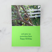 Verjaardagsgroet voor kikkers kaart (Binnen)