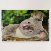 Verjaardagsgroeten Australische Koala's Legpuzzel (Horizontaal)