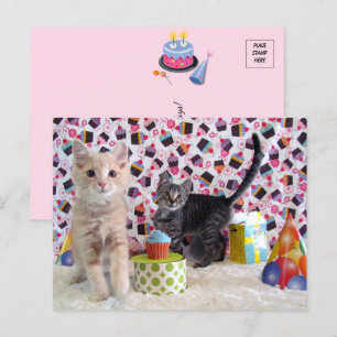 Verjaardagsgroeten - Kat Postkaart