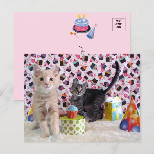 Verjaardagsgroeten - Kat Postkaart (Voorkant / Achterkant)