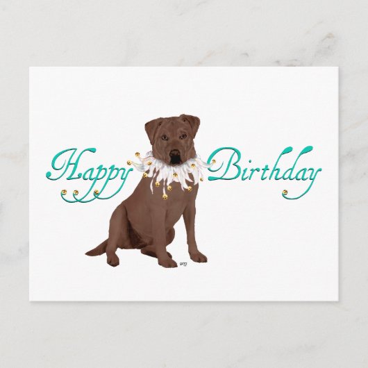 Verjaardagsgroeten Labrador Retriever Briefkaart (Voorkant)