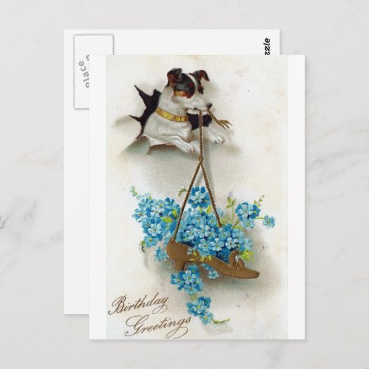 Verjaardagsgroeten met cute hond en schoen briefkaart (Voorkant / Achterkant)
