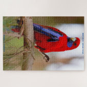 Verjaardagsgroeten Rosella papegaai Legpuzzel (Horizontaal)