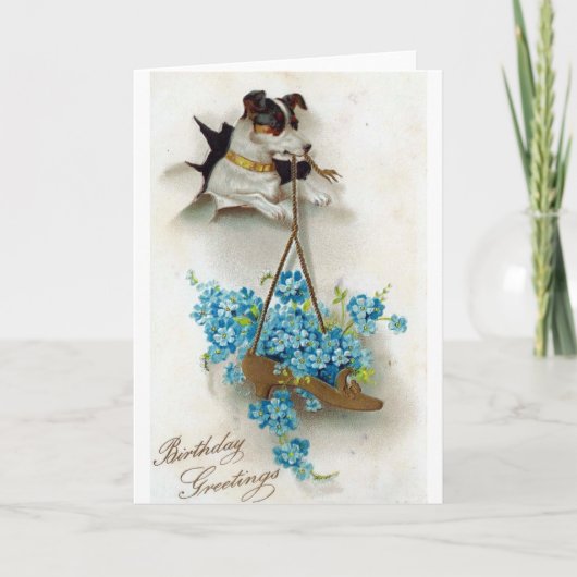 Verjaardagsgroeten voor een schattige hond en scho kaart (Voorkant)