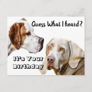 Verjaardagsgroeten voor honden briefkaart