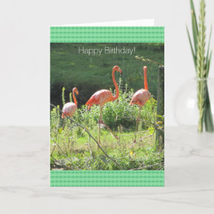 Verjaardagsgroeten voor Roze Flamingo's Kaart