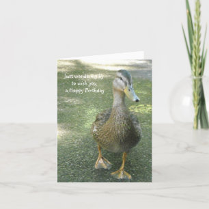 Verjaardagsgroeten voor zwervende eend kaart