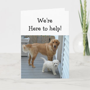 Verjaardagshulp bij het eten van een Cute Dog Humo Kaart