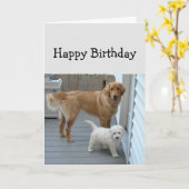 Verjaardagshulp om cake te eten Mooie honden humor Kaart (Gele Bloem)