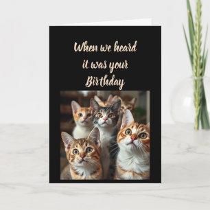 Verjaardagshumor van ons allemaal Moppige Katten Kaart
