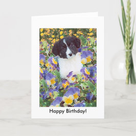 Verjaardagskaart - Border Collie Pup and Flowers Kaart
