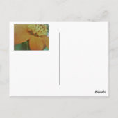 Verjaardagskaart Briefkaart (Achterkant)