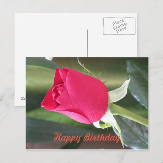 Verjaardagskaart Briefkaart (Voorkant / Achterkant)