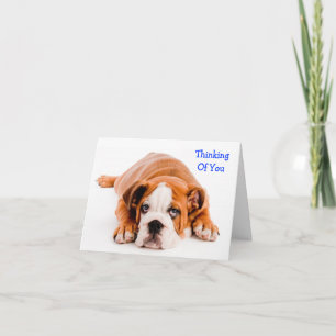 Verjaardagskaart Bulldog Kaart