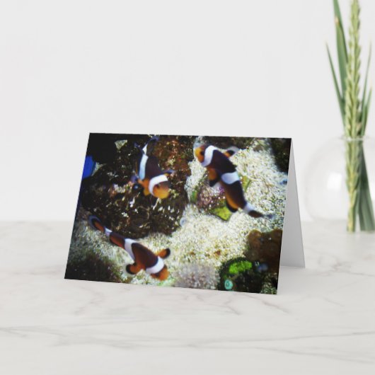 Verjaardagskaart "Clownvis" Kaart (Voorkant)